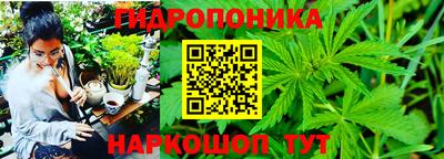 крисы Краснознаменск