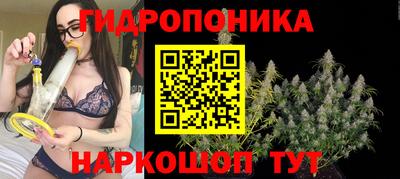 крисы Краснознаменск
