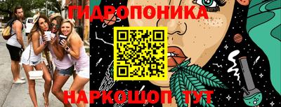 крисы Краснознаменск
