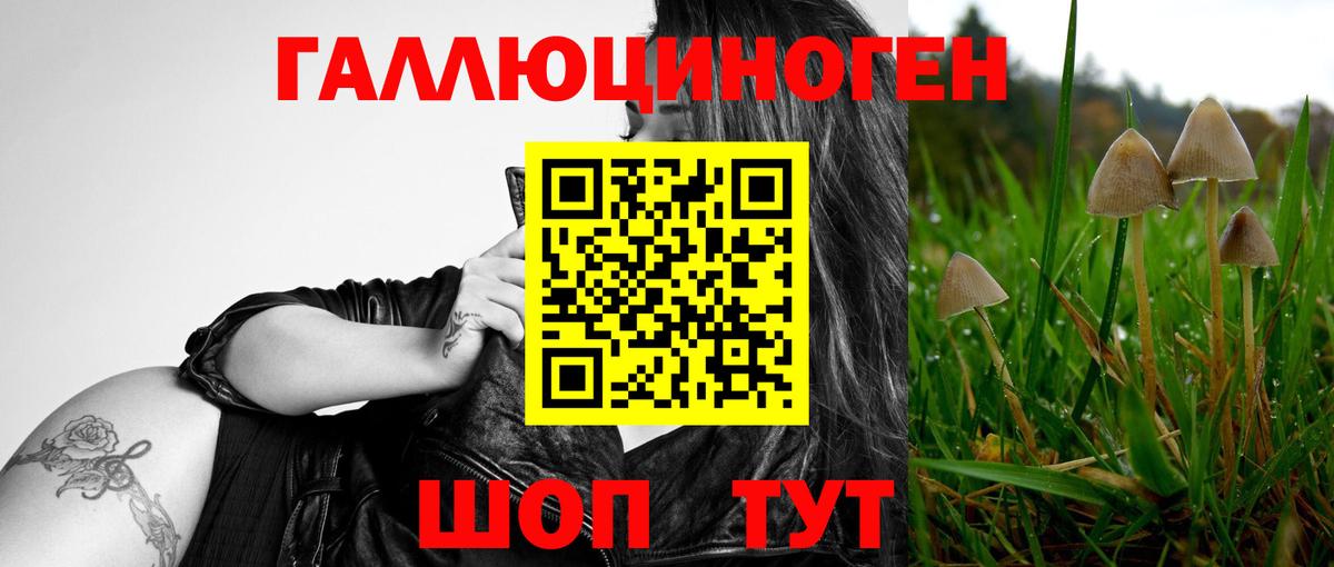 Галлюциногенные грибы MAGIC MUSHROOMS  Вход с VPN  Биробиджан 